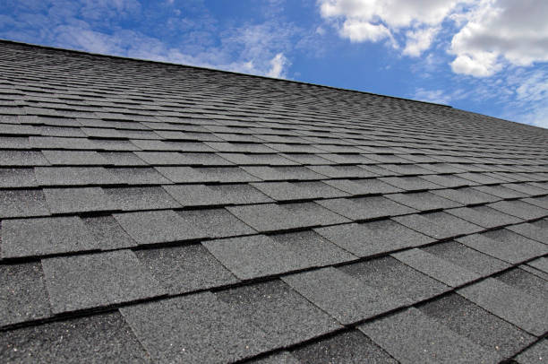 Best Roof Coating and Sealing  in Phoenix, IL